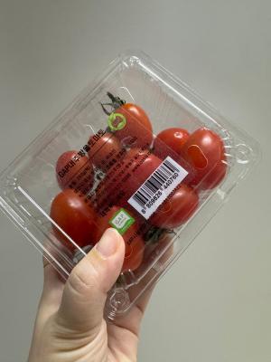 사진후기 대표 이미지