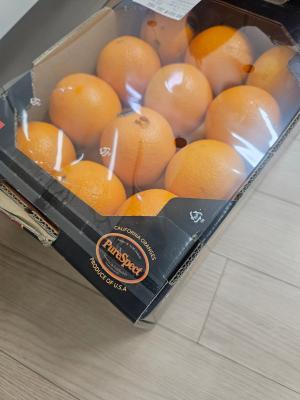 사진후기 대표 이미지
