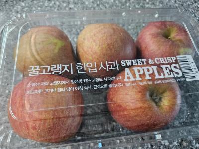 사진후기 대표 이미지