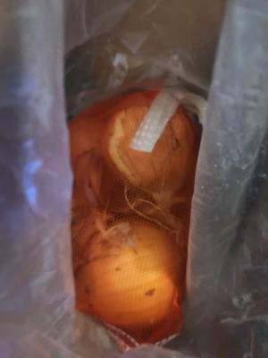 구매후기 사진