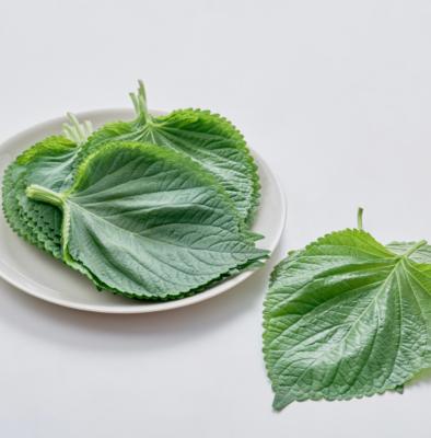 상품평 이미지
