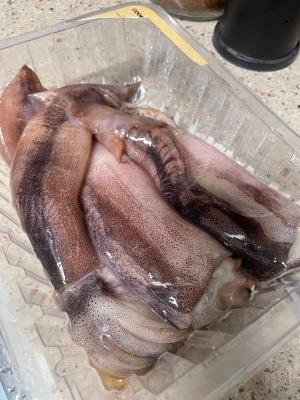 사진후기 대표 이미지