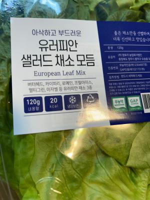 사진후기 대표 이미지