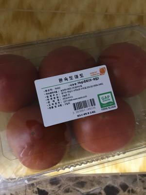 사진후기 대표 이미지