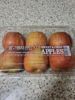 사진후기 대표 이미지