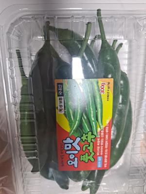 사진후기 대표 이미지