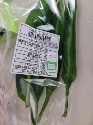 사진후기 대표 이미지