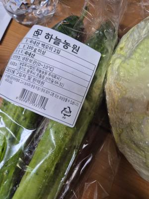 사진후기 대표 이미지