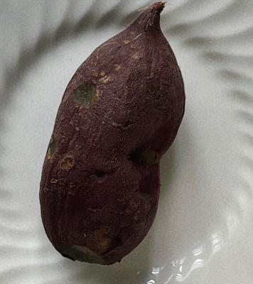 사진후기 대표 이미지