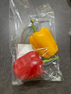 사진후기 대표 이미지
