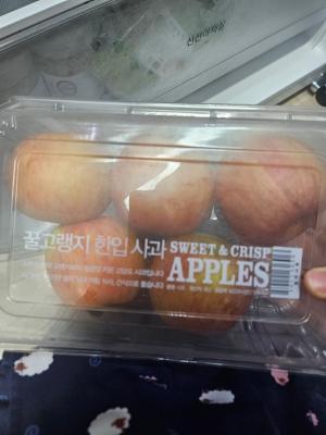 사진후기 대표 이미지