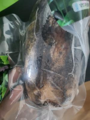 사진후기 대표 이미지