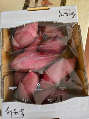 사진후기 대표 이미지