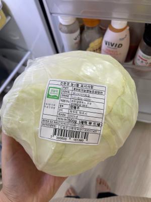 사진후기 대표 이미지
