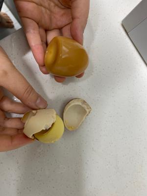 사진후기 대표 이미지