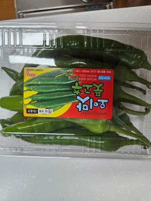 사진후기 대표 이미지