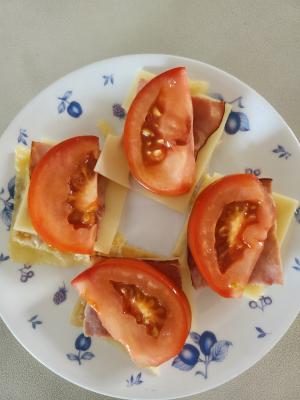 사진후기 대표 이미지