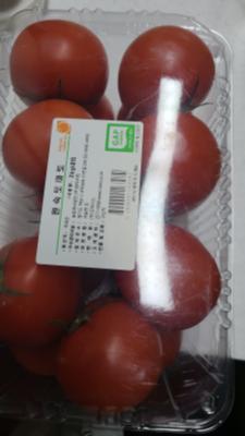 사진후기 대표 이미지