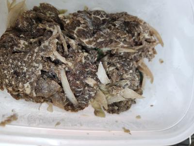 구매후기 사진