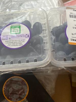 사진후기 대표 이미지