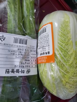 사진후기 대표 이미지