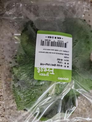 사진후기 대표 이미지