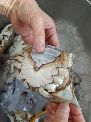 구매후기 사진
