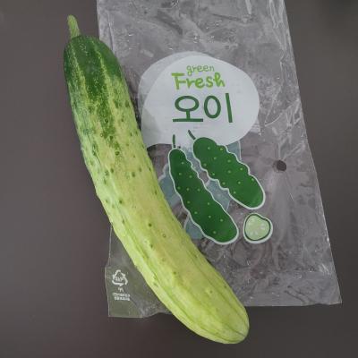 상품평 이미지