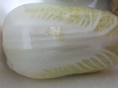 사진후기 대표 이미지