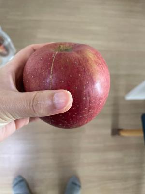 사진후기 대표 이미지