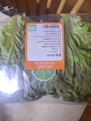 상품평 이미지