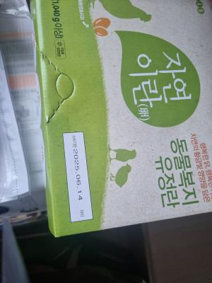 사진후기 대표 이미지
