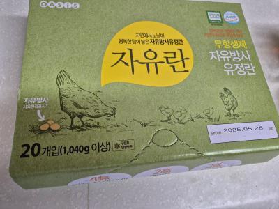 사진후기 대표 이미지