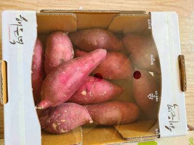 사진후기 대표 이미지