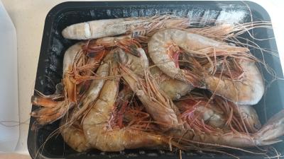 사진후기 대표 이미지
