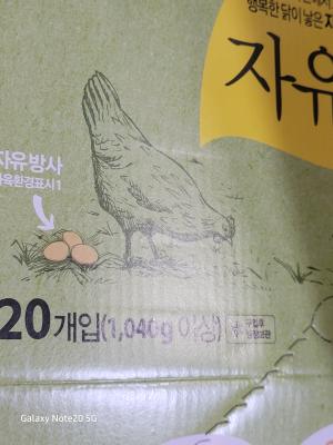 사진후기 대표 이미지
