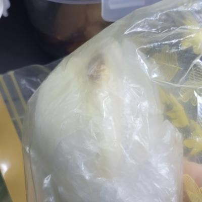 사진후기 대표 이미지