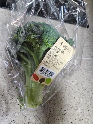 사진후기 대표 이미지