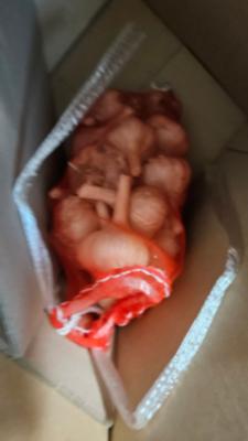 구매후기 사진