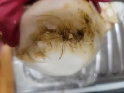 사진후기 대표 이미지