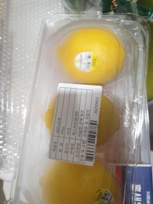 사진후기 대표 이미지