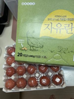 사진후기 대표 이미지