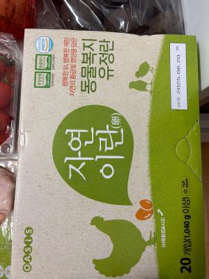 사진후기 대표 이미지