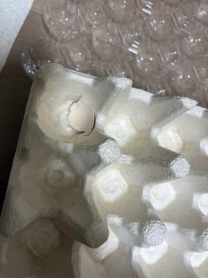 상품평 이미지