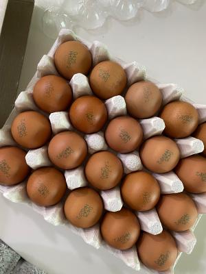 상품평 이미지