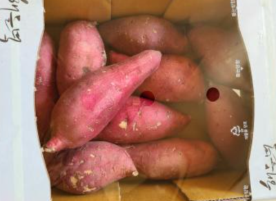 사진후기 대표 이미지