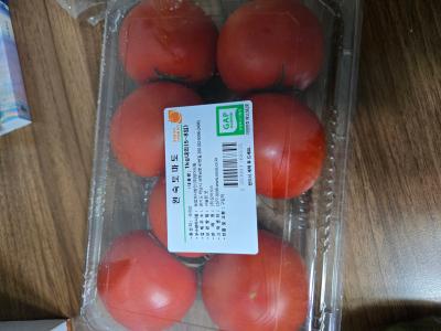 사진후기 대표 이미지