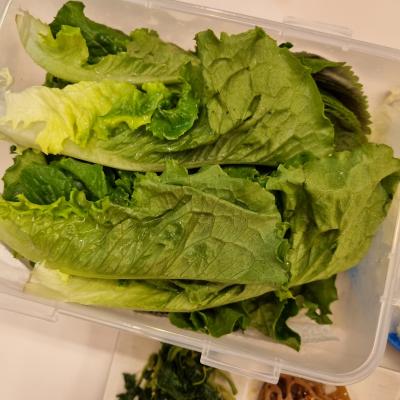 구매후기 사진