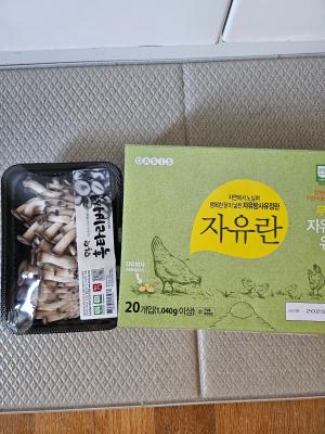사진후기 대표 이미지