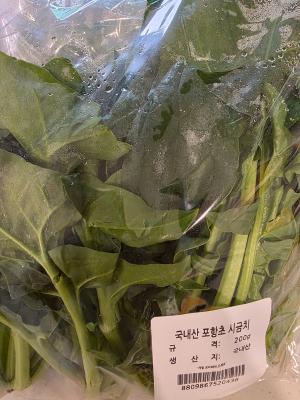 사진후기 대표 이미지